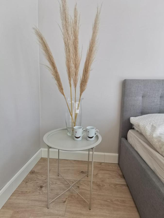Apartment Tolstoi Scandinavian 1 Bedroom + Free Parking *