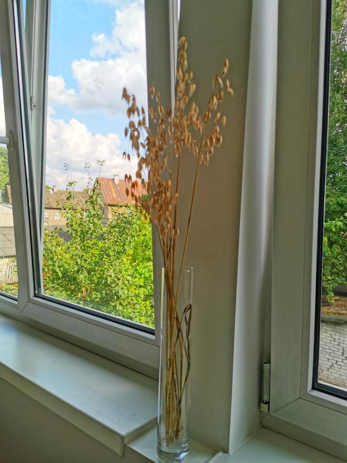 Tolstoi Scandinavian 1 Bedroom + Free Parking * Tartu